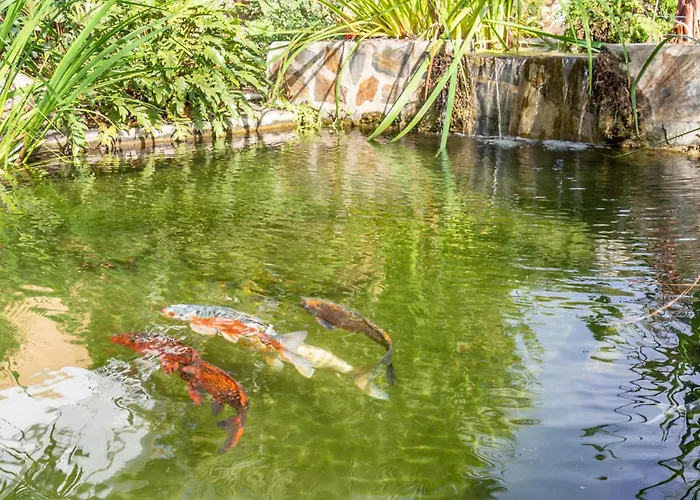 Rabat 23 * Нерха