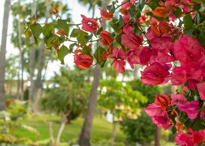 Rabat 23 Διαμέρισμα *